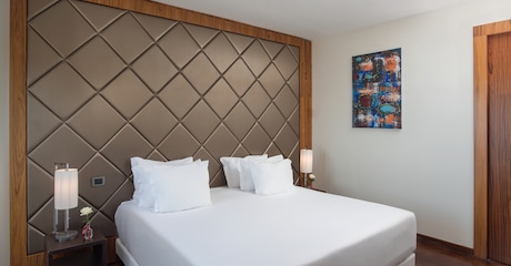 Room Suite présidentielle avec vue et terrasse